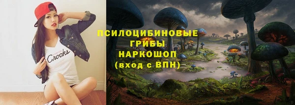 дмт Алзамай
