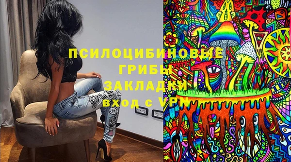гидра Алексеевка