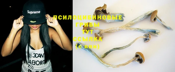дмт Алзамай