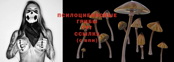 дмт Алзамай