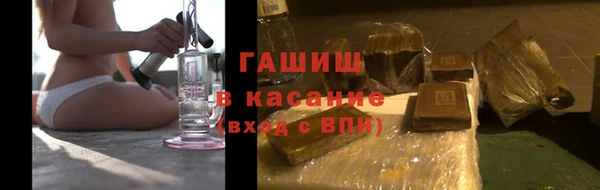 гидра Алексеевка