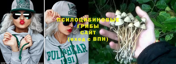 гидра Алексеевка