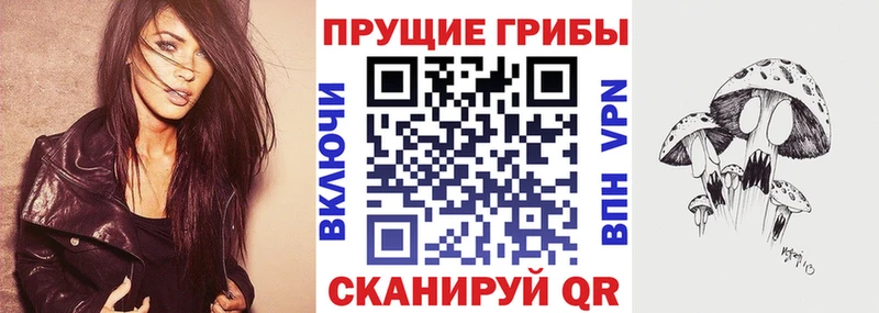 кракен   Нижнеудинск  Псилоцибиновые грибы Magic Shrooms 